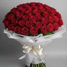 Букет 101 Красная роза Блэк Мэджик в Иня