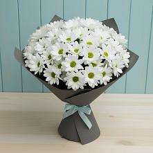 Букет цветов из:  Хризантемы в Иня